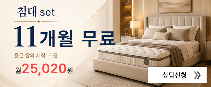 비렉스 페스타